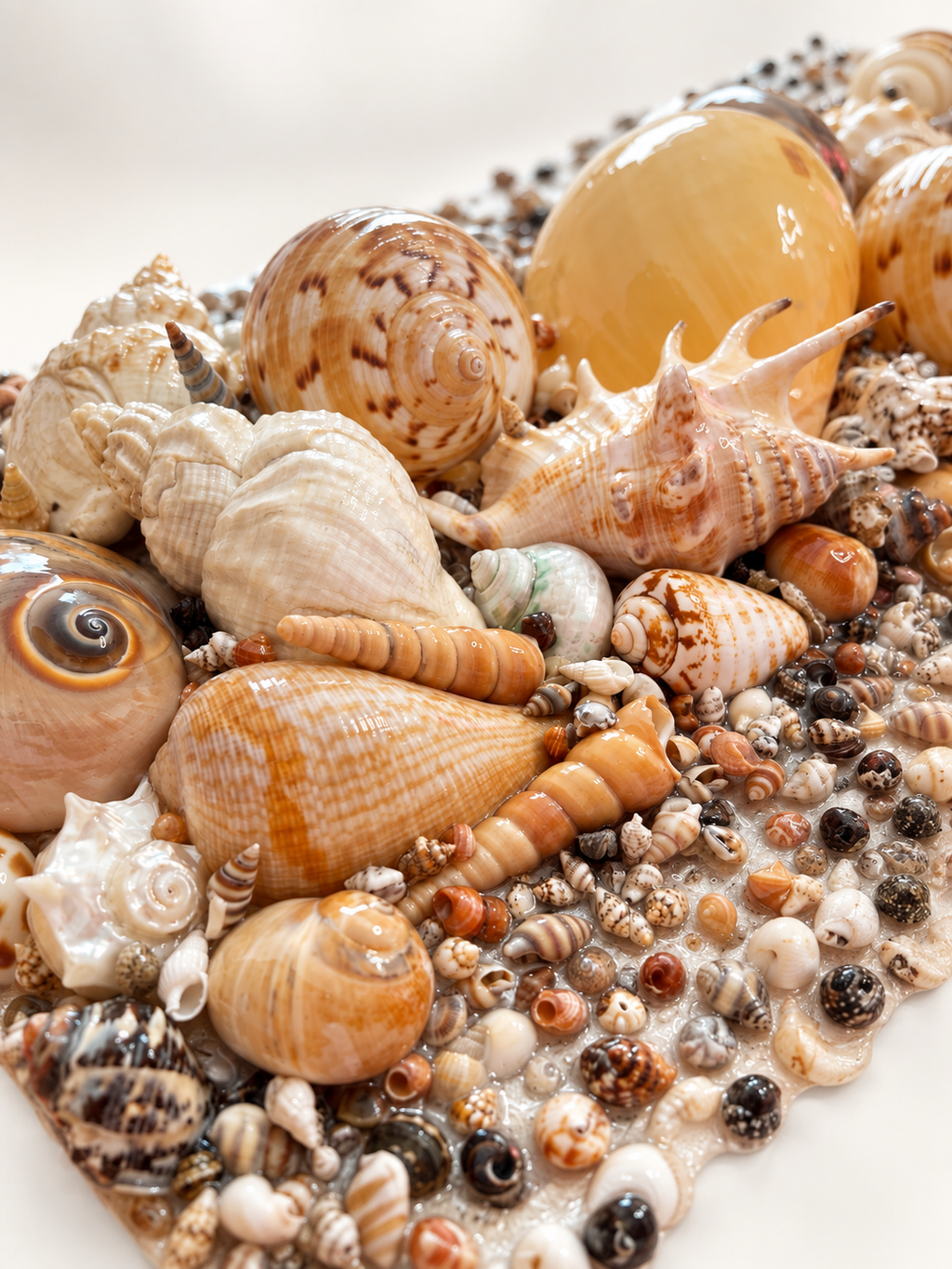 Treasures of the Tide – Handcrafted Coastal Shell Art