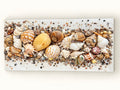 Treasures of the Tide – Handcrafted Coastal Shell Art