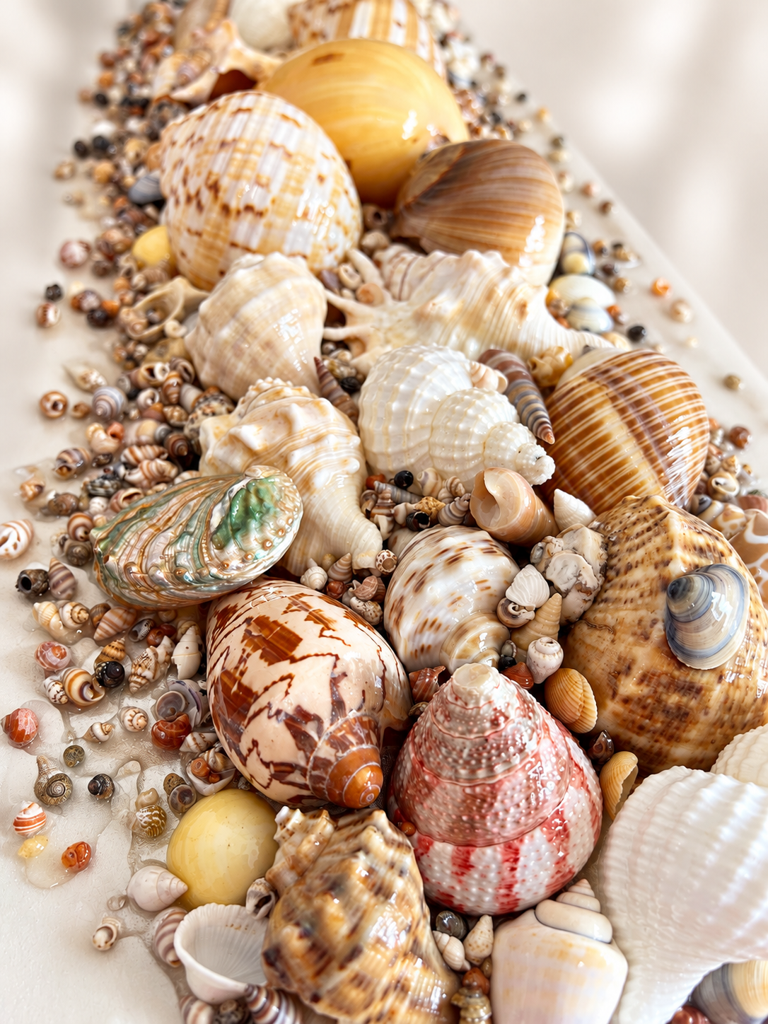 Treasures of the Tide – Handcrafted Coastal Shell Art