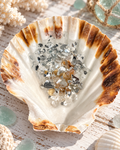 Sea Glass Scallop Trinket Dish